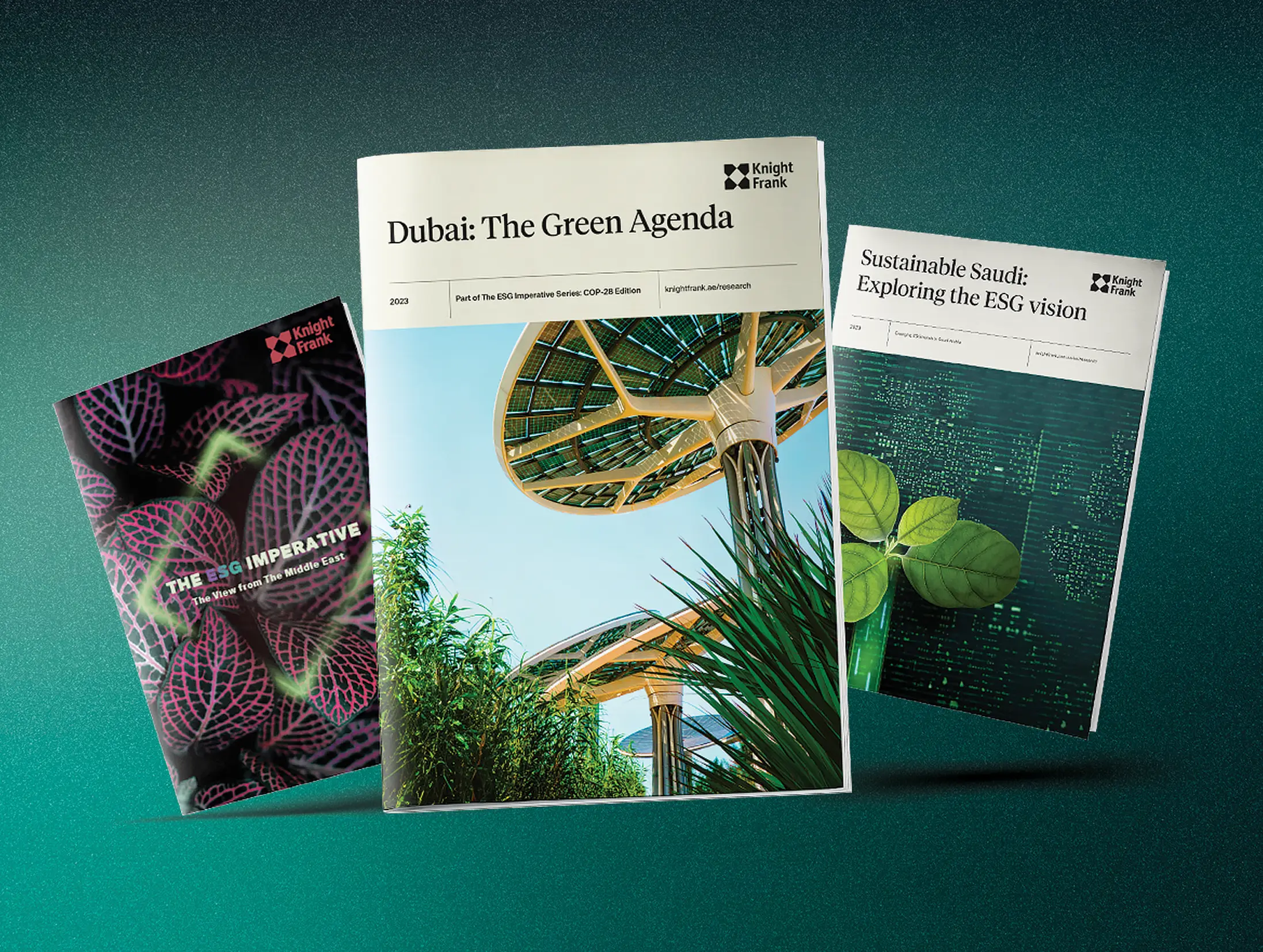 Image of سلسلة أهمية المعايير البيئية والاجتماعية والحوكمة