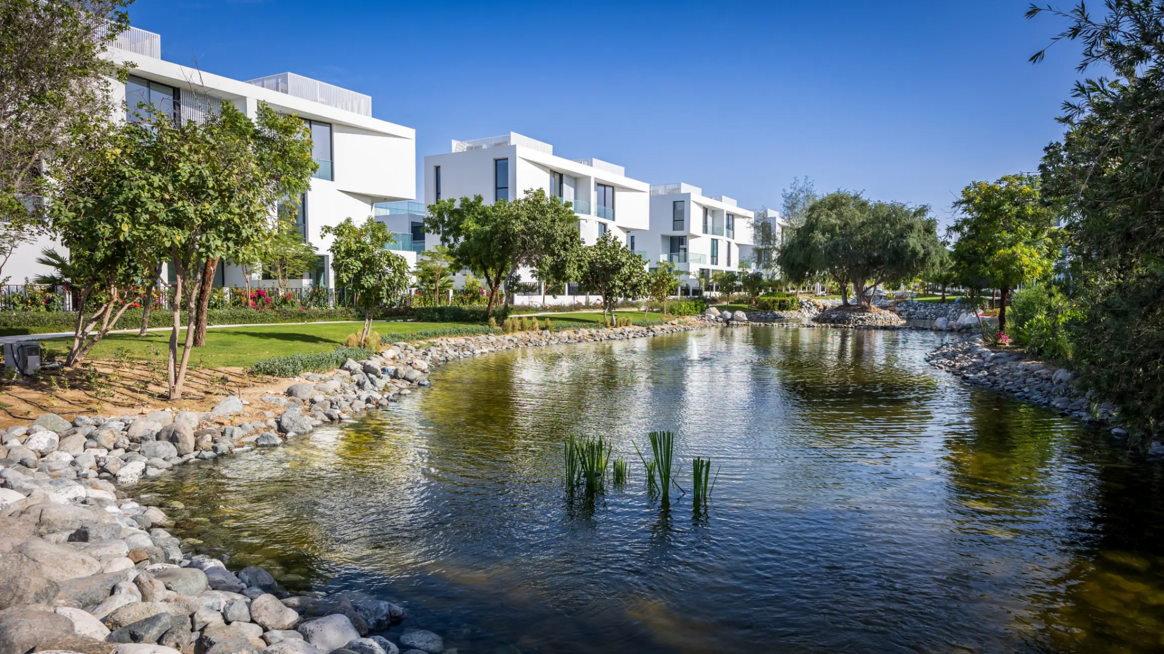 Modern homes surrounded by trees, and next to a lake in Al Barari in Dubai